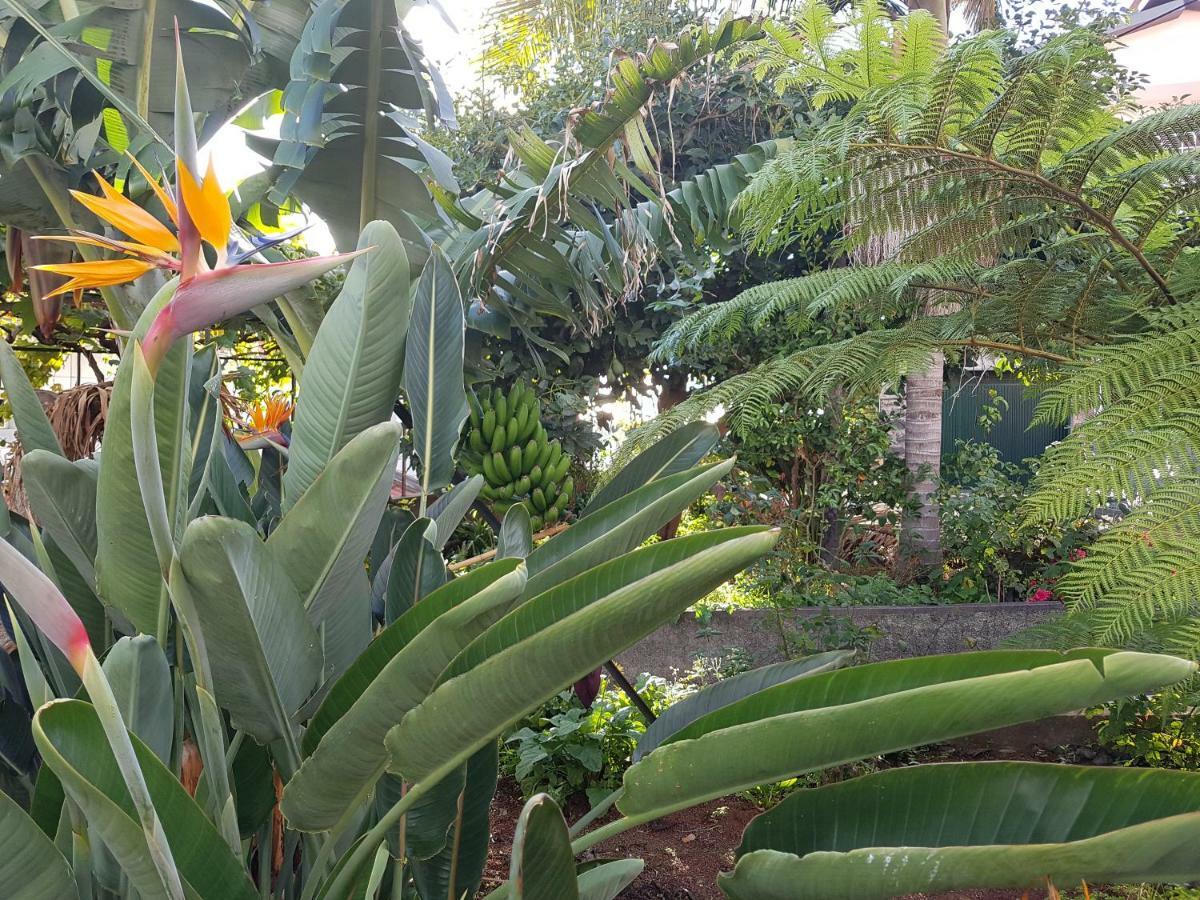 פונשל City View Gardens I מראה חיצוני תמונה